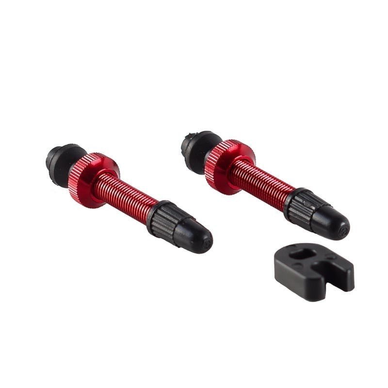 RHC WHEELSET TUBELESS VALVE 60MM